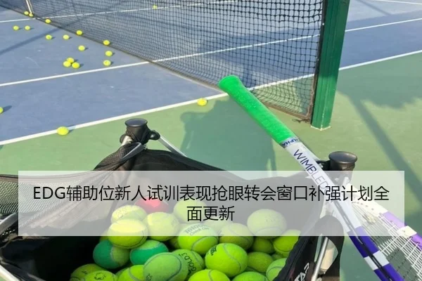 EDG辅助位新人试训表现抢眼转会窗口补强计划全面更新